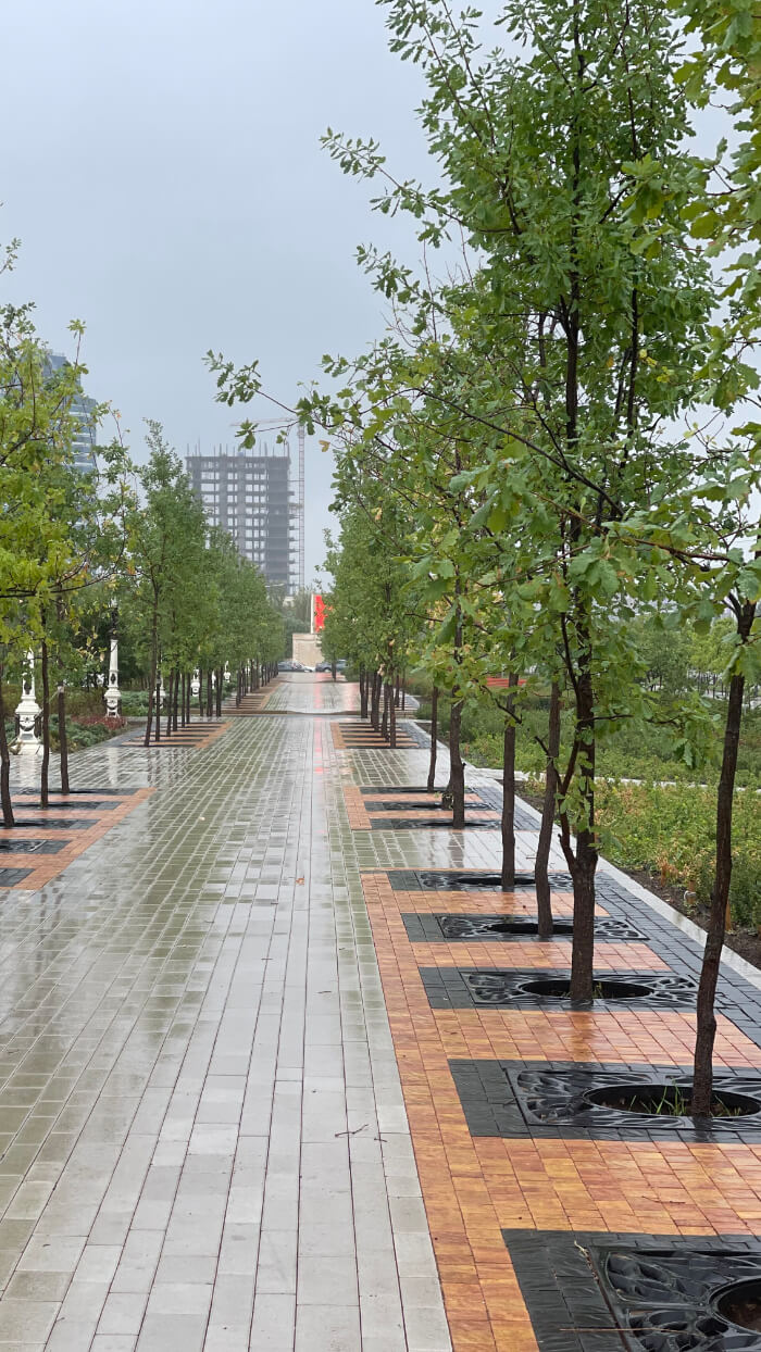 Приствольная решетка для дерева ZKING CRUST 1.2х1.2м Черная в Владивостоке фото