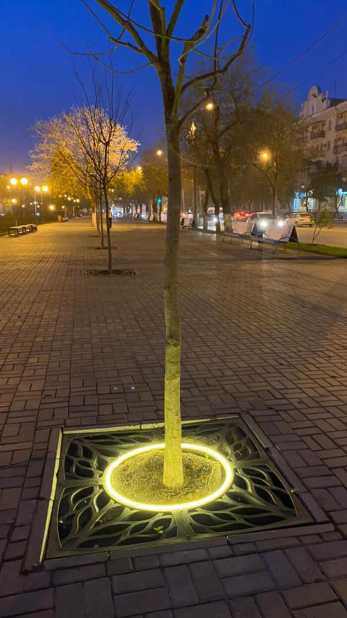 Приствольная решетка для дерева ZKING CRUST 1.2х1.2м Черная в Владивостоке фото